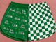 Wall Hawks Soar Spirit Shorts